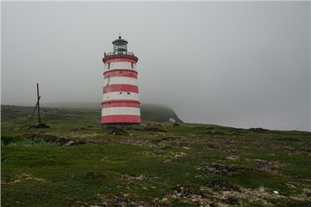 Свет укажет путь