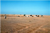 Мавритания миниатюра 1