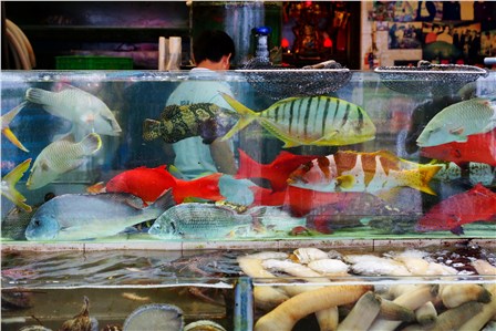 Рыбный рынок Lei Yu Mun в Гонконге.  (Юрий Ситников)