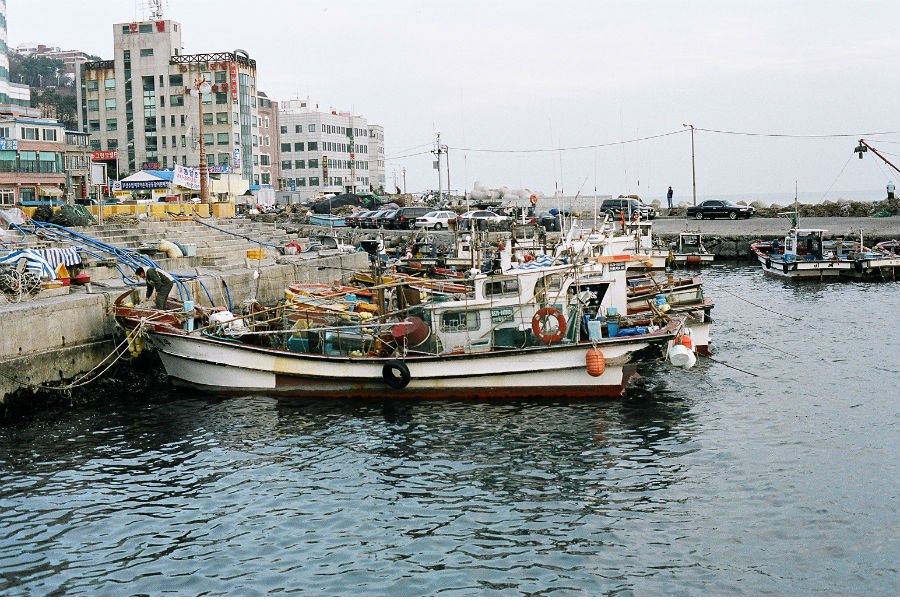 Рыбацкие лодки в Пусане