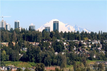Сарри