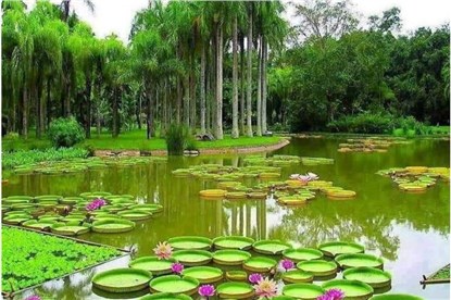 Джорджтаун (Гайана)