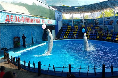 Лоо