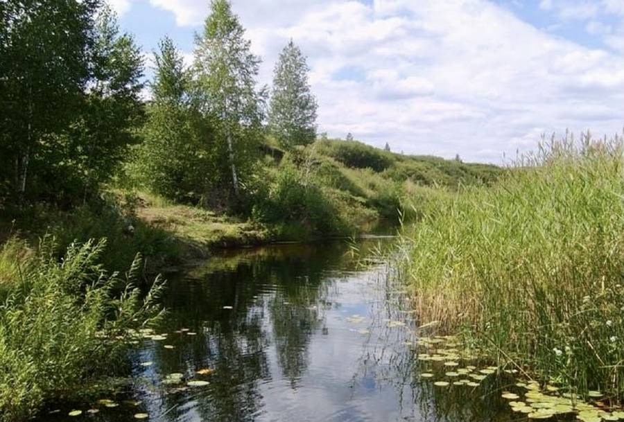 Природа Челябинской области