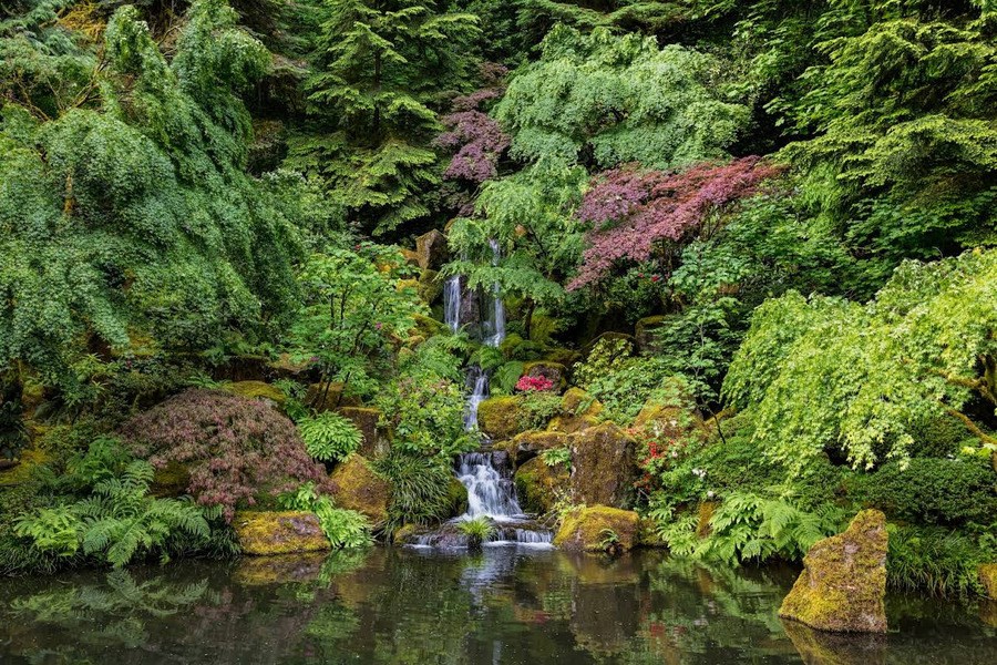 Portland Japanese Garden