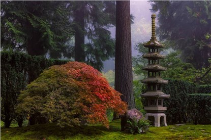Portland Japanese Garden