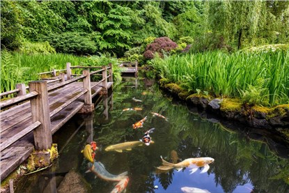 Portland Japanese Garden