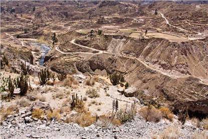 Каньон Колка (Colca Canyon)