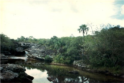 Река Каньо-Кристалес (Caño Cristales)