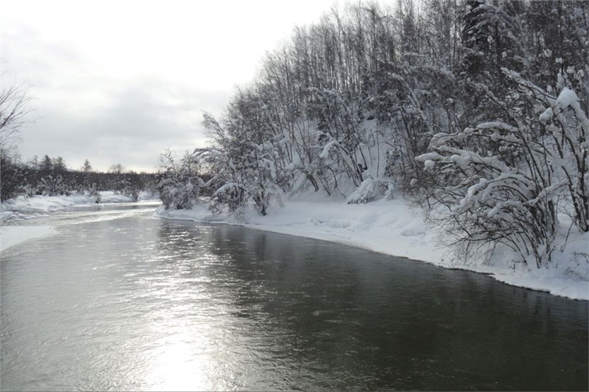 В долине реки Левая Щапина расположены минеральные Тумрокские источники