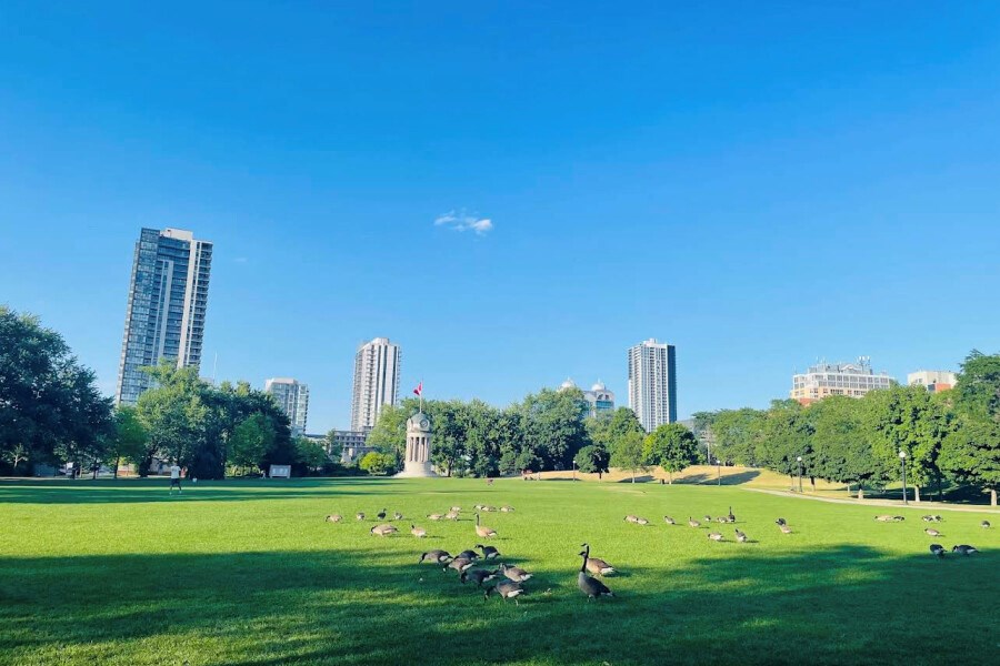 Картинка Китченера