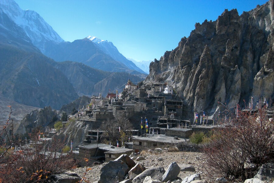 Фотография Браги