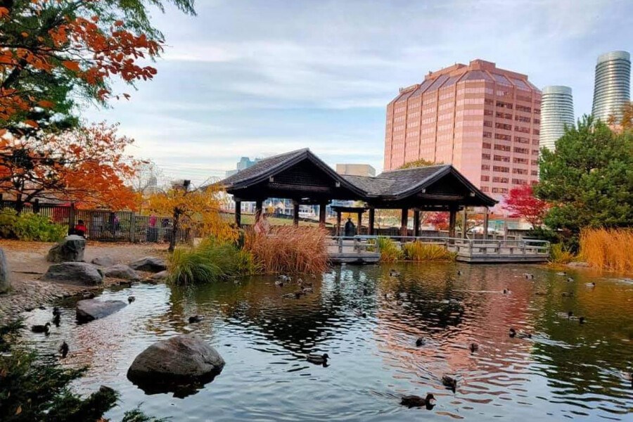 Фотография Миссиссогов