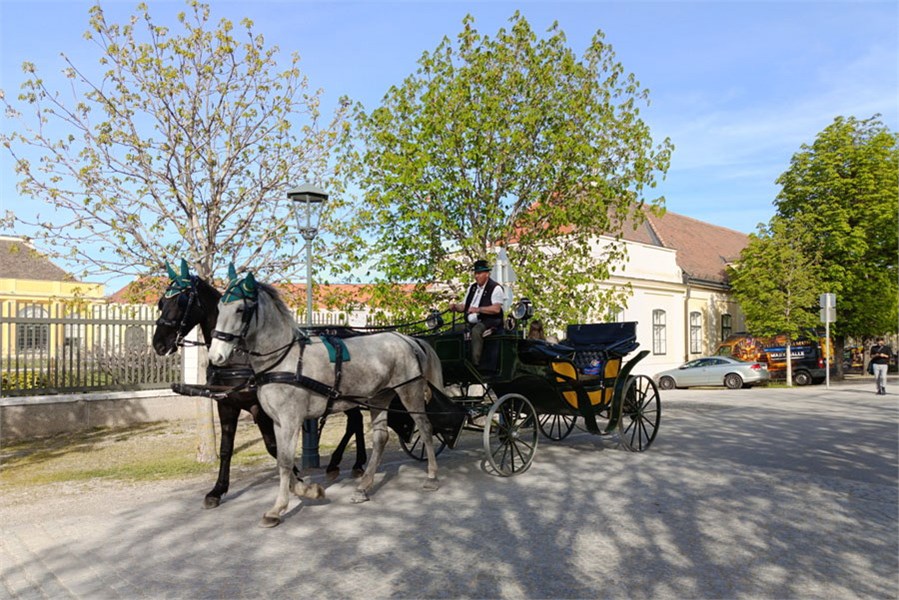 ВЕНСКАЯ ШКАТУЛКА