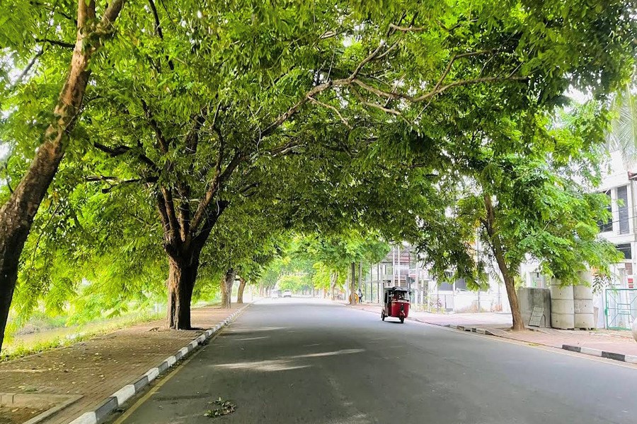 Шри-Джаяварденепура-Котте фото