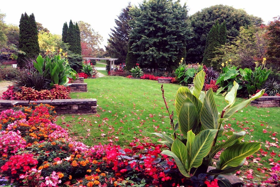 Снимок Лондона (Канада)