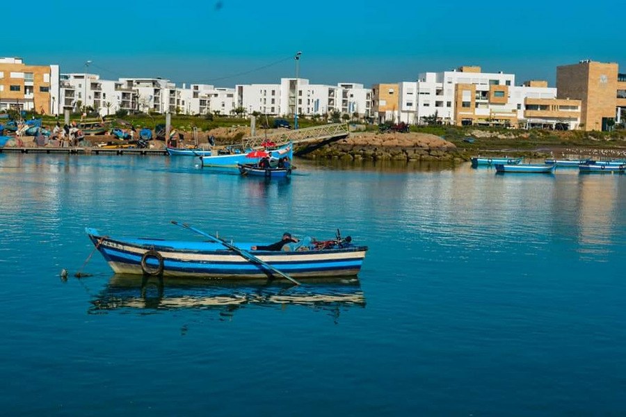Сале  фото