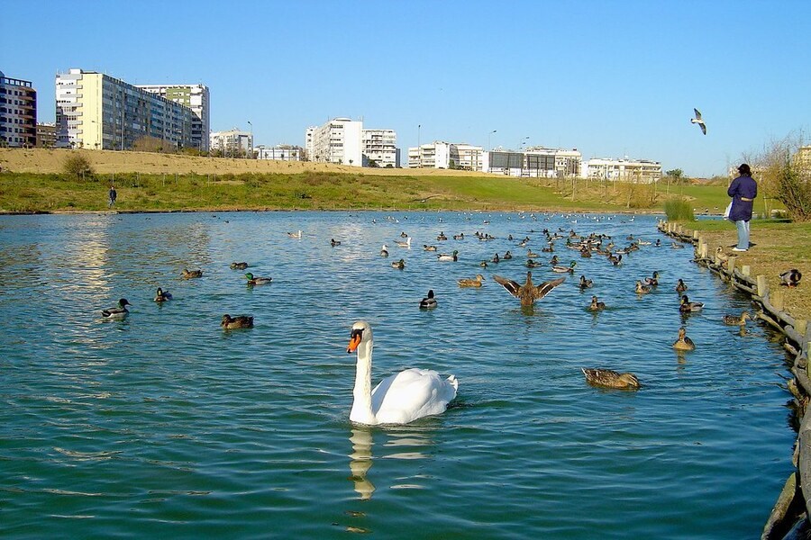 Картинка Алмады