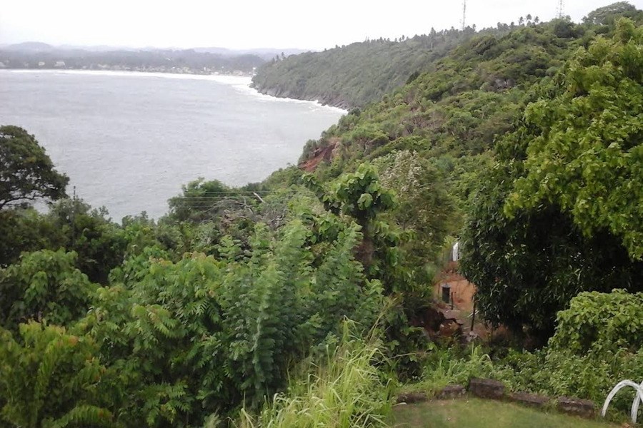 Картинка Шрей-Джаяварденепуры-Котте