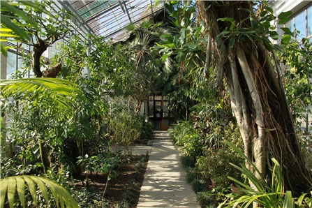 Ботанический сад имени Александру Борзы