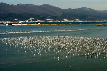 Суджукская лагуна