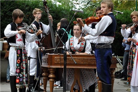Праздник чешской лозы