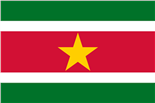 Флаг Суринама