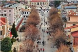 Корча миниатюра 1