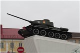 Слоним миниатюра 1