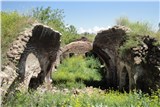 Агарак миниатюра 2
