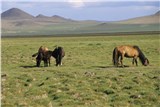 Монголия миниатюра 3